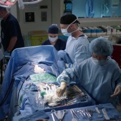 Grey’s Anatomy Season 18 screenshot 4