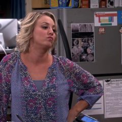 The Big Bang Theory Season 9 screenshot 2