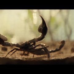 Alien: Earth Season 1 screenshot 9