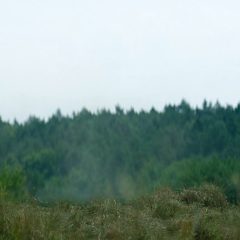 Foundation Season 3 screenshot 7
