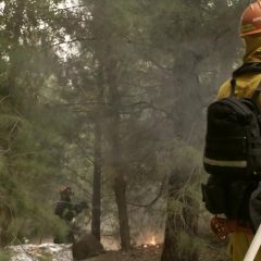 Station 19 Season 4 screenshot 9